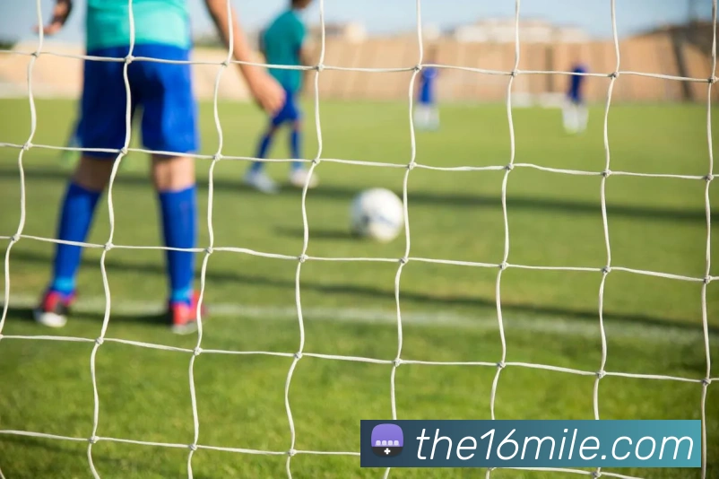 战术分析频道